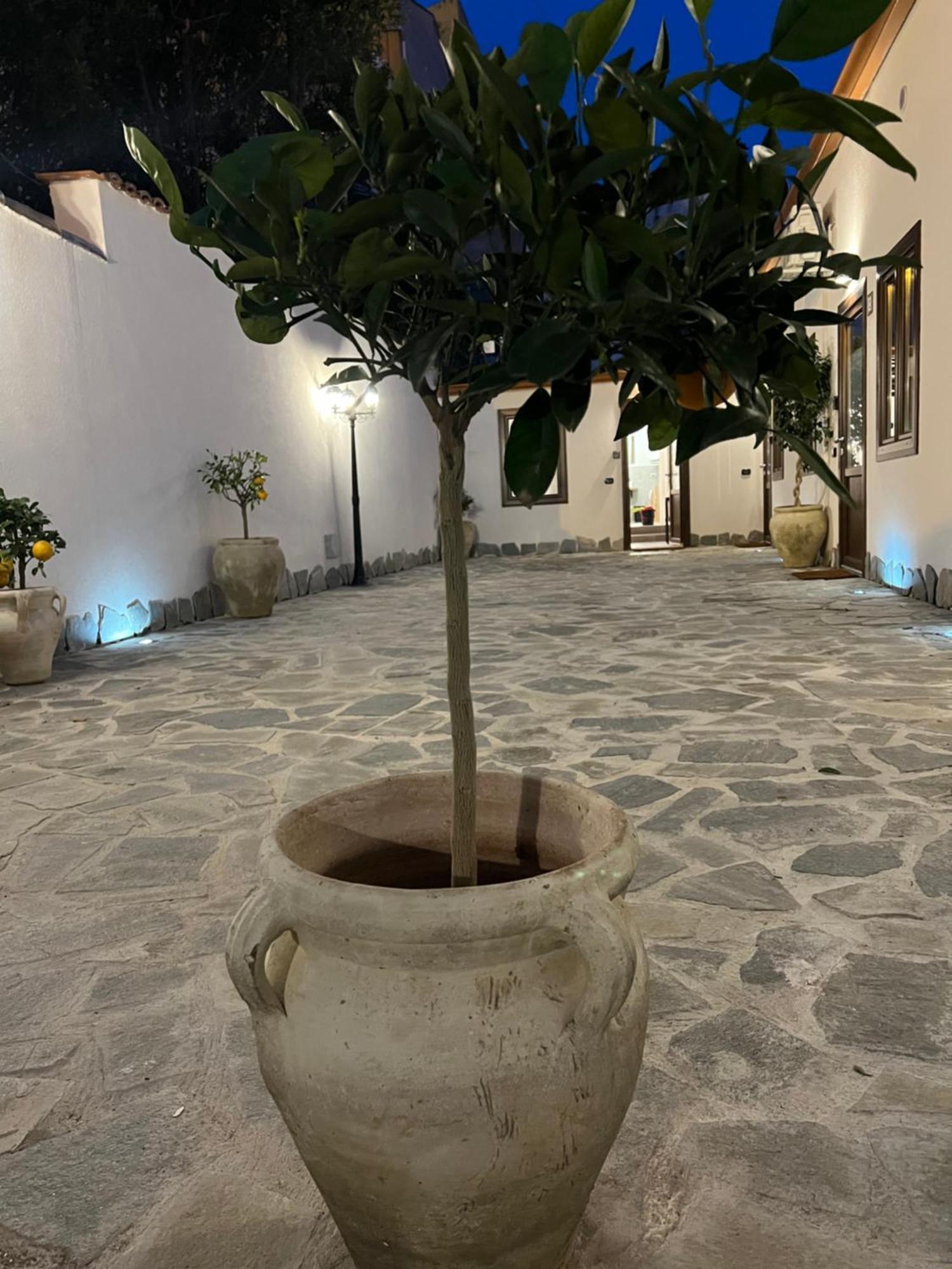 Ferienwohnung Cedros Palermo Exterior foto