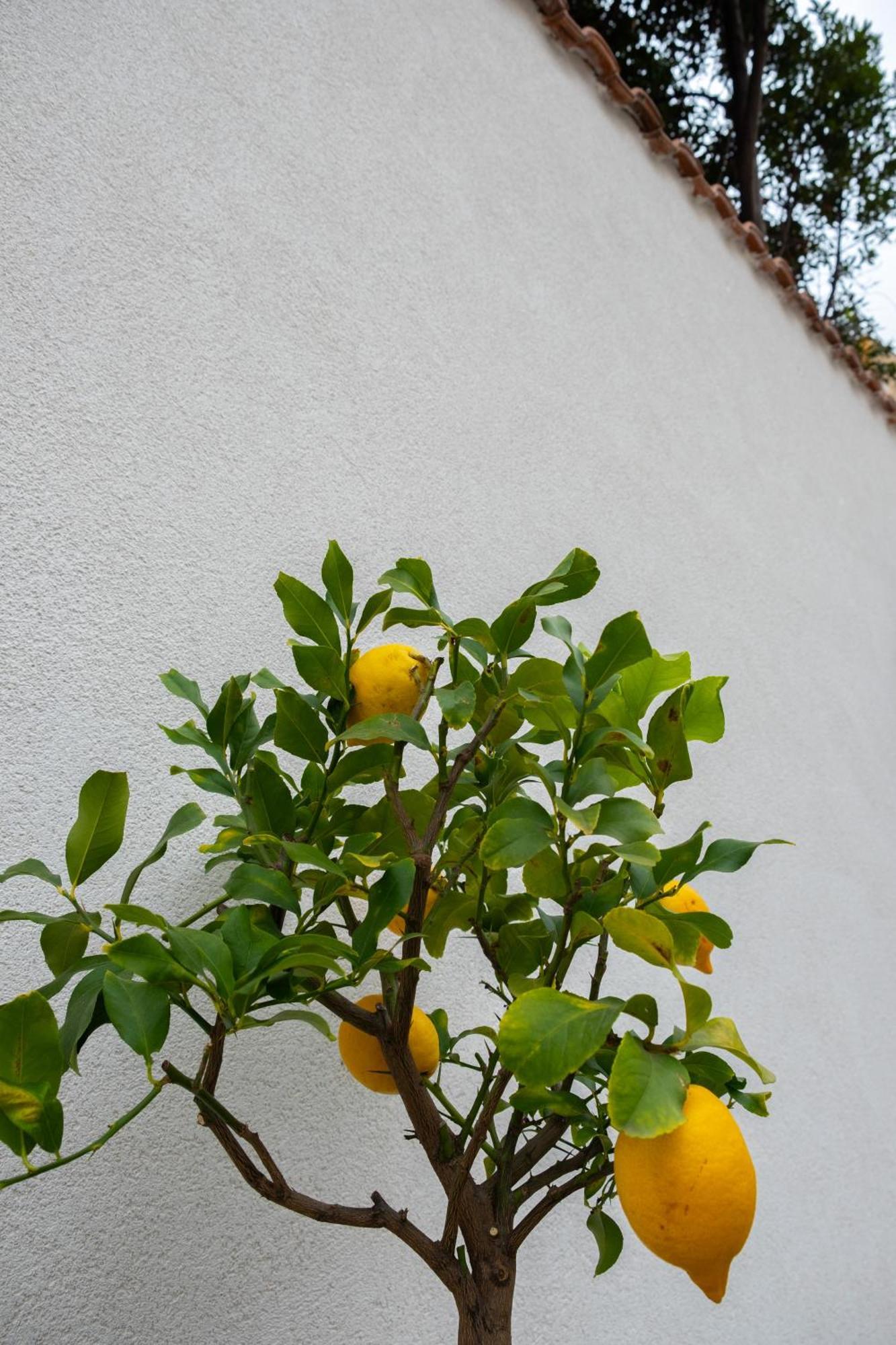 Ferienwohnung Cedros Palermo Exterior foto